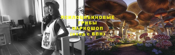 ешки Покачи