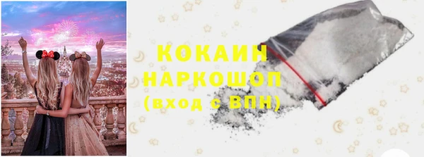 шишки Покров