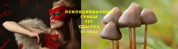 ALPHA PVP Армянск