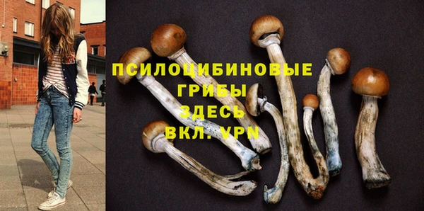 соль курить ск Аркадак
