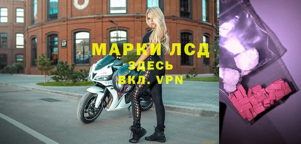 сатива Арсеньев