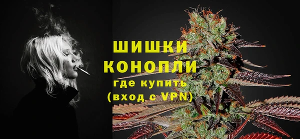 сатива Арсеньев