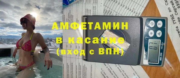 сатива Арсеньев
