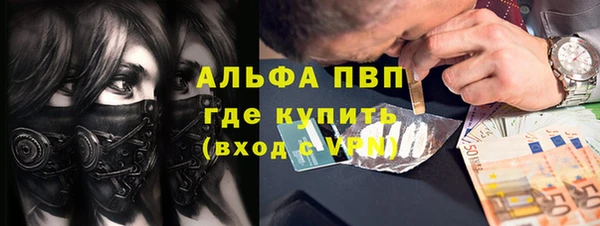 сатива Арсеньев