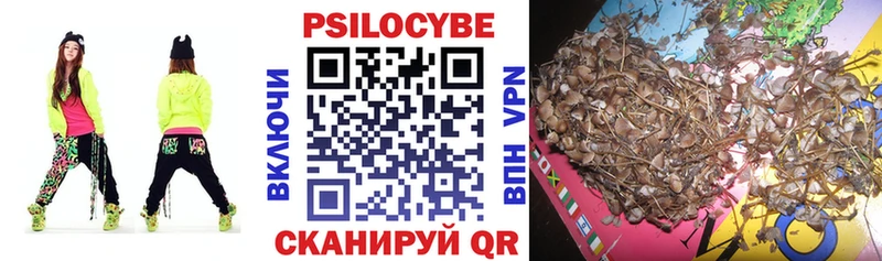 ссылка на мегу онион  наркотики  Сясьстрой  Псилоцибиновые грибы прущие грибы 